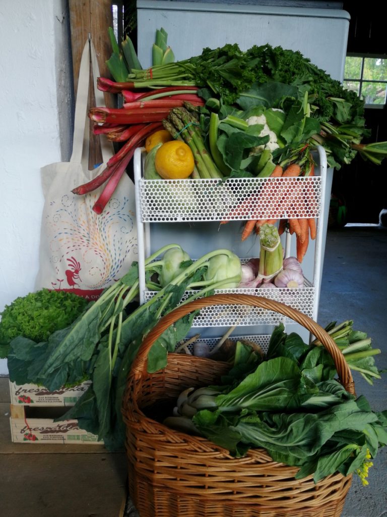 Panière de légumes frais du jardin et du marché