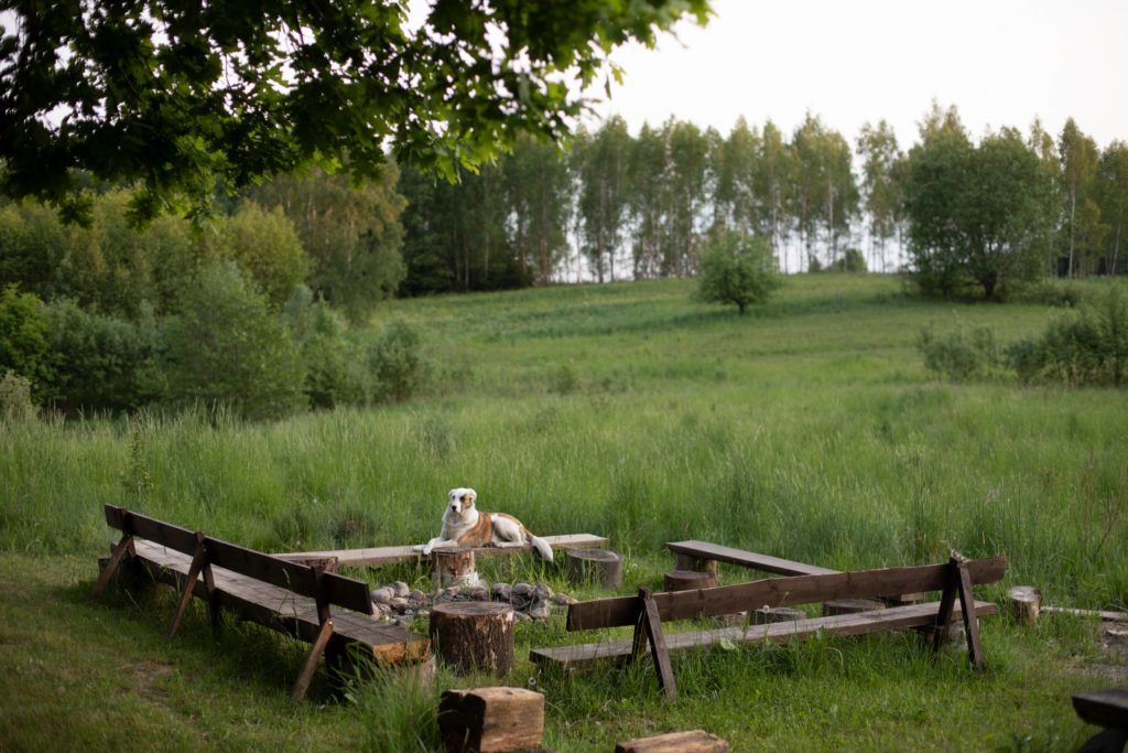 Letnia Kuchnia Chambre d'hôtes d'été au coeur de la forêt polonaise