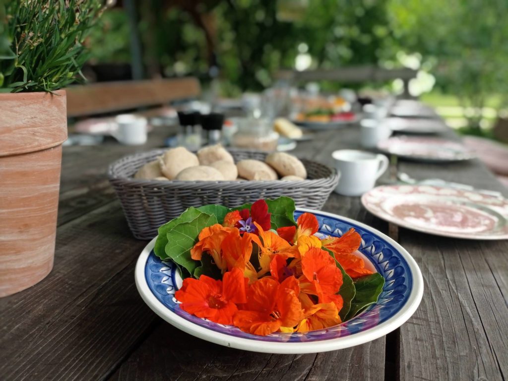 Siedlisko Letnia Kuchnia Half board Guest house with shared table
