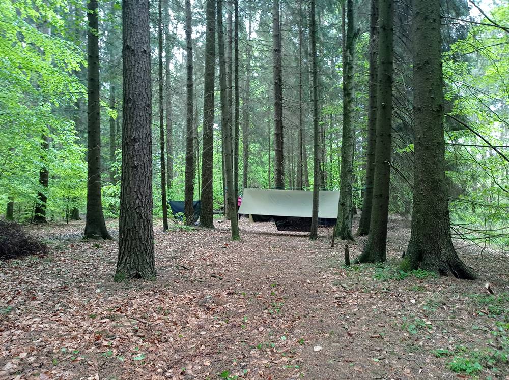Letnia Kuchnia organizes sleeping trip in the forest