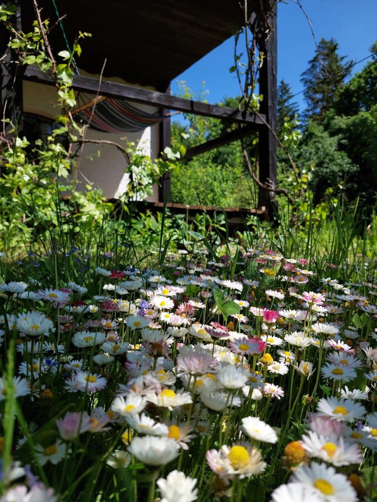 Letnia Kuchnia guesthouse Summer atpmosphere with a lot of flowers